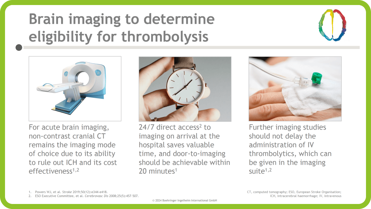 Slide Kit “Guidelines for early management of acute ischaemic stroke”