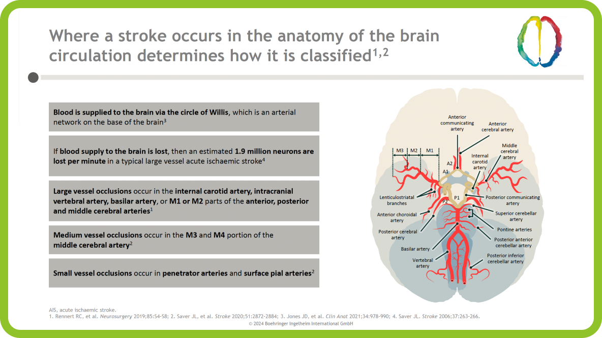 Acute Ischaemic